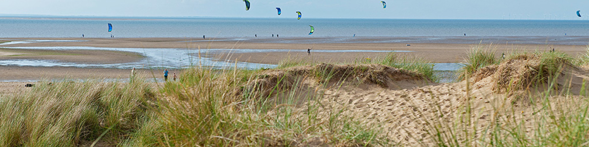 nature walks the mariner hunstanton north norfolk