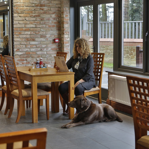 The Mariner Inn Pub Dog Friendly